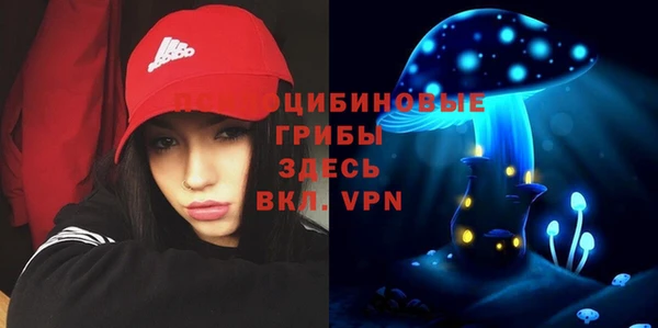 крисы Михайлов
