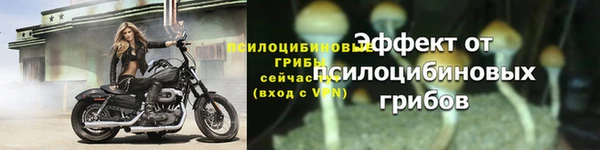 альфа пвп Надым