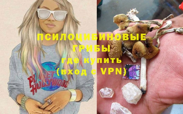 крисы Михайлов