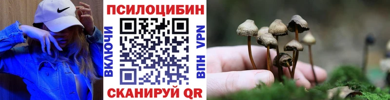Галлюциногенные грибы GOLDEN TEACHER  наркотики  Саров 