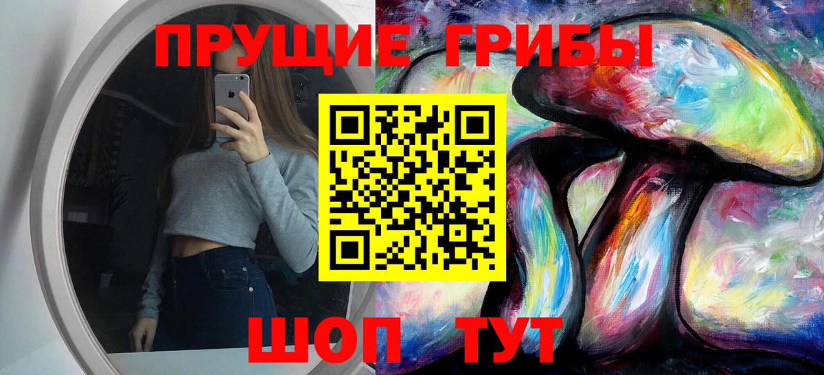 Галлюциногенные грибы GOLDEN TEACHER  Псилоцибиновые грибы Cubensis  Вход с VPN  закладка  Саров 